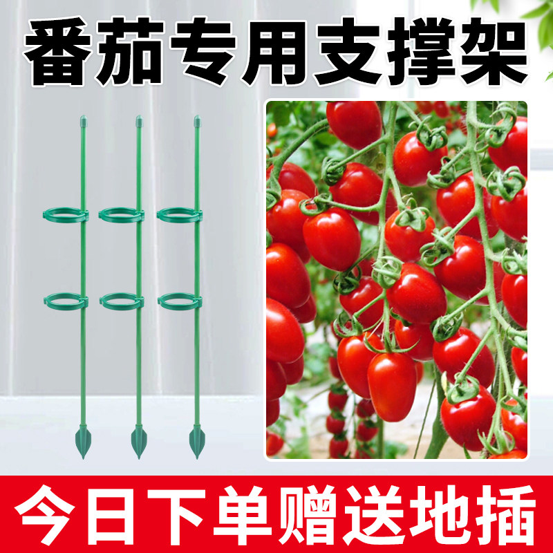速发西红柿番茄辣椒固定杆爬支吊藤园艺花架花兰撑架植物防倒伏支