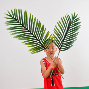 速发铁树叶假叶子物束波斯草绿植假草植大墙装草饰散尾叶演出道具