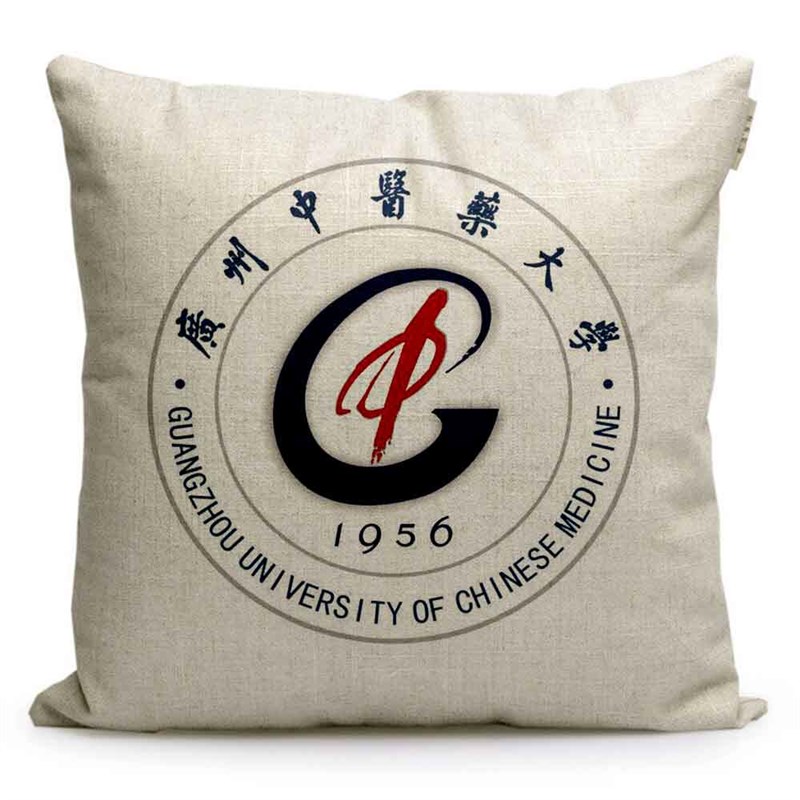速发广州中医药大学纪念品文创沙发抱枕高考礼物学生靠枕午休枕头