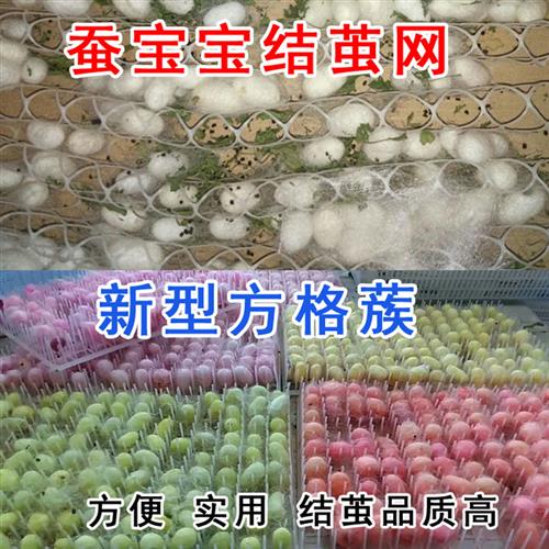 速发蚕宝宝结茧上结网结茧专用网彩蚕蔟茧网大蚕网塑胶网方格簇清