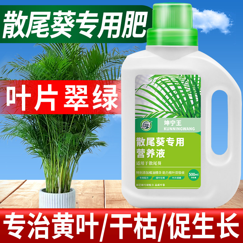 速发散尾葵肥料专用肥花养液凤尾家室内水培植物养营肥料竹用盆栽