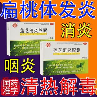 鹅城莲芝消炎胶囊24粒/盒支气管咳嗽扁桃体炎咽喉肿痛发热解毒