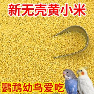 黄小米脱壳文鸟珍珠鸟虎皮鹦鹉鸟食鸟粮饲料蛋小米原料芦丁鸡饲料