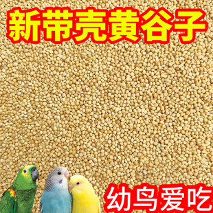新黄谷子带壳小米虎皮牡丹玄凤中小型鹦鹉文鸟饲料粮食鸟粮鸟食鸟