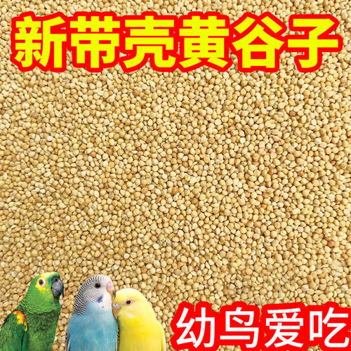 新黄谷子带壳小米鹦鹉鸟粮鸟食