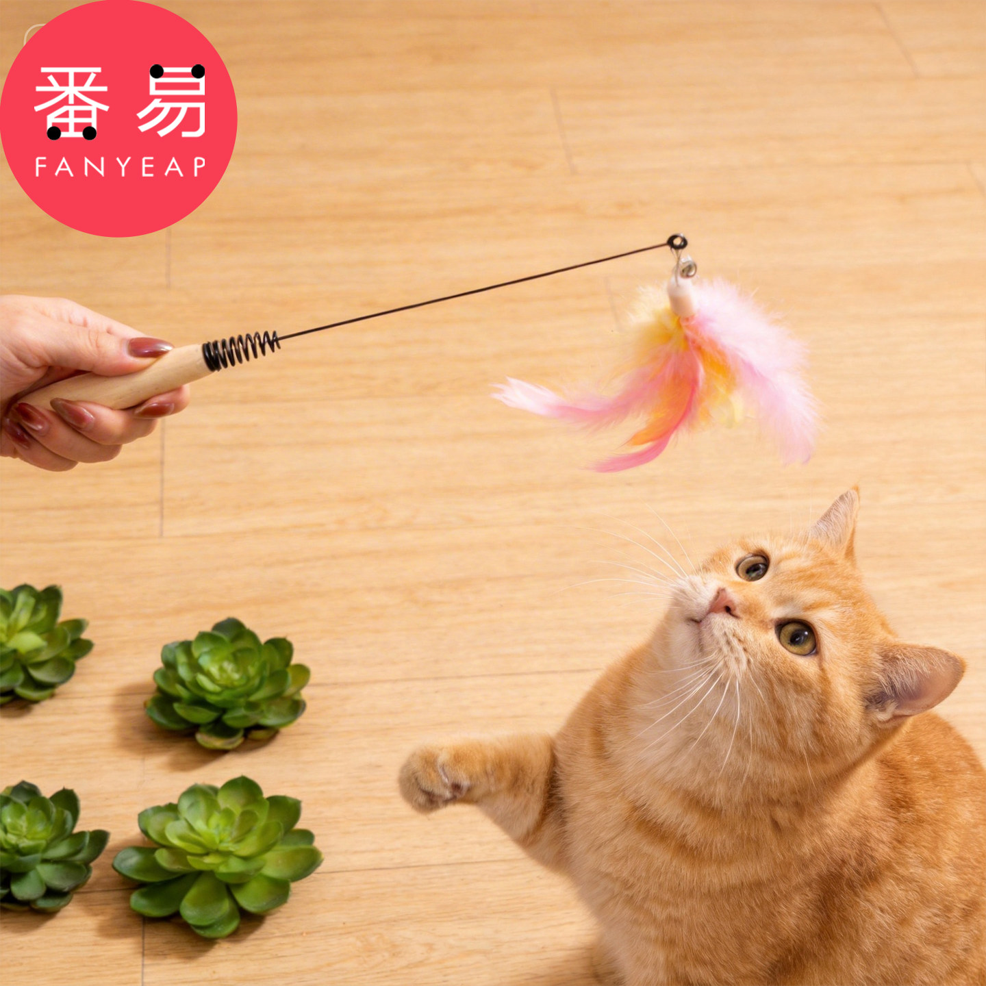 逗猫棒/羽毛A1pn008-逗猫棒猫玩具逗猫带羽毛长杆逗猫棒宠物用图片