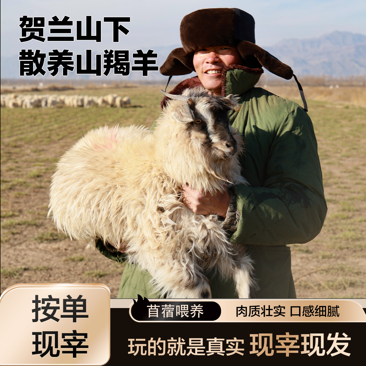 清真正宗宁夏贺兰山山羊羯羊整只现宰现发
