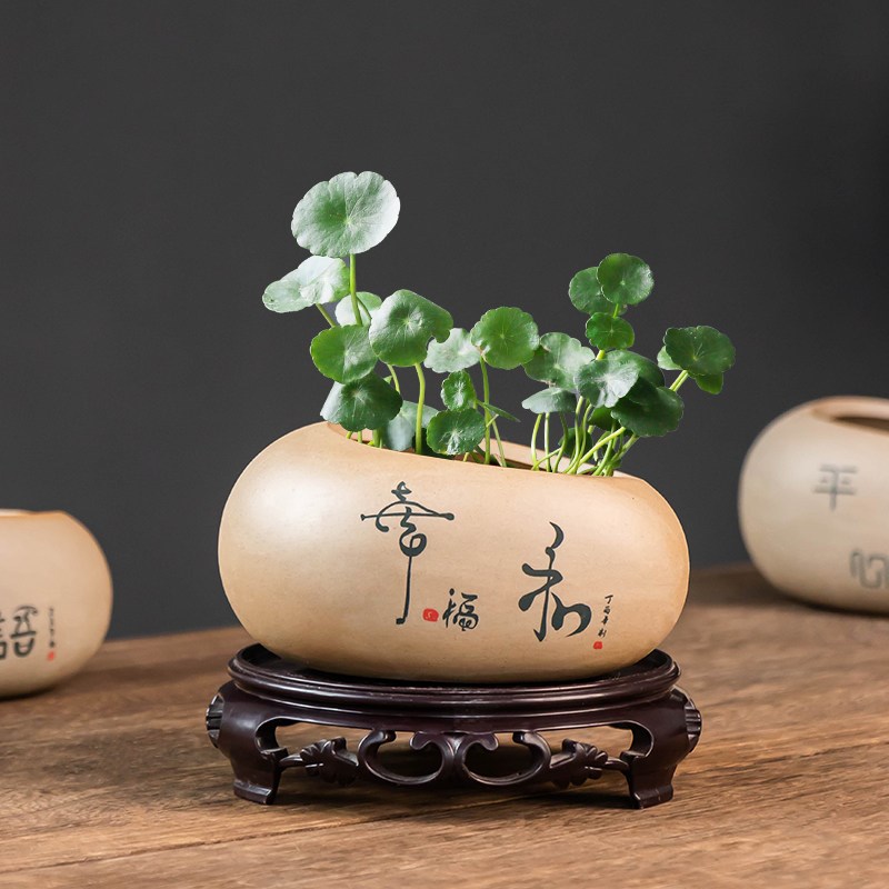 速发禅意铜钱草水培花盆桌面中式办公桌水养金钱草粗陶无孔器皿小