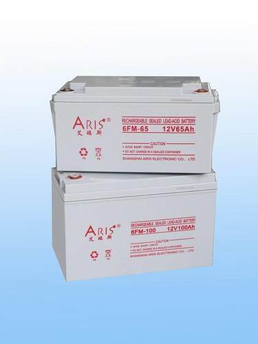 ARIS艾润斯蓄电池6FM-100免维护12V100AH直流屏不间断电源UPS EPS