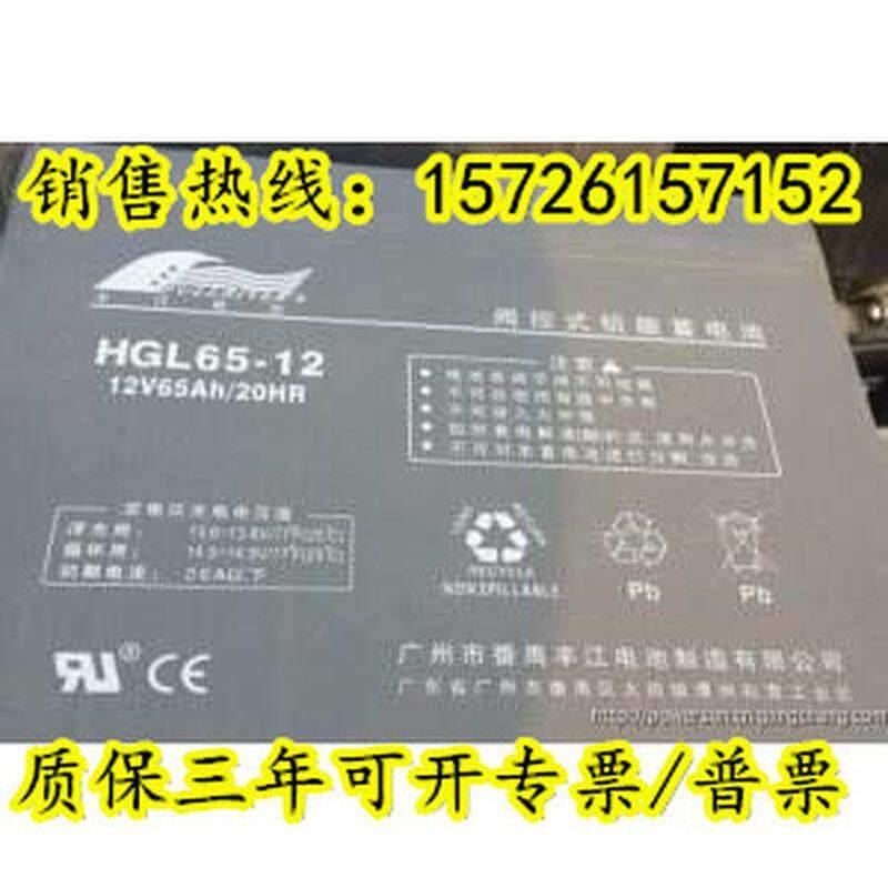 丰江铅酸蓄电池12V65AH阀控式免维护HGL65-12 太阳能 UPS系统 EPS