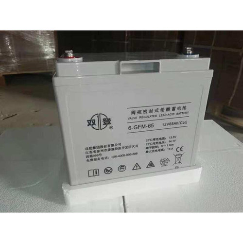 shoto蓄电池12V65AH/6-GFM-65/UPS电源直流屏光伏太阳能EPS用