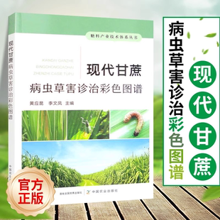 现代甘蔗病虫草害诊治彩色图谱 图解甘蔗生产中病虫害杂草症状识别防治措施甘蔗种植技术书籍水果树栽培书 糖料产业中国农业出版社