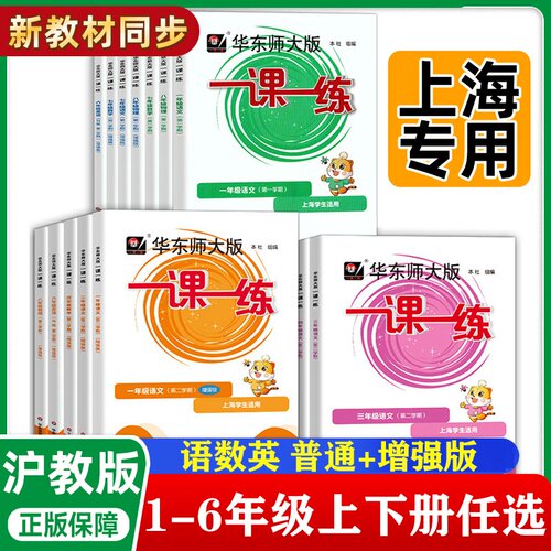 华师大一课一练增强版