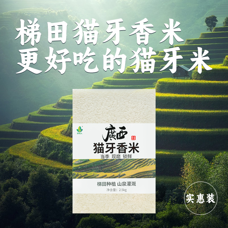 猫牙米月牙米广西桂林龙脊梯田米南方细长粒香米小包装2023年新米