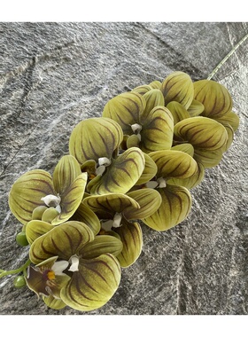 9头3D蝴蝶兰 手感婚庆吊顶插花 家居装饰兰花 商场橱窗假花摆件