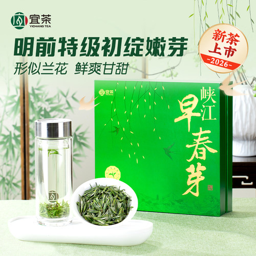 2026新茶宜茶峡江早春芽头采嫩芽