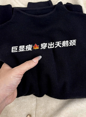 版型真的很赞~黑色打底衫女2025秋冬大衣内搭半高领毛衣针织上衣