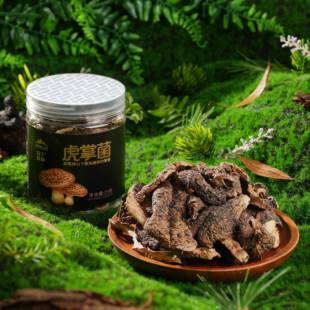 林下森物虎掌菌干片甘孜州特产送礼送亲友菌类干货煲汤食材25g/瓶