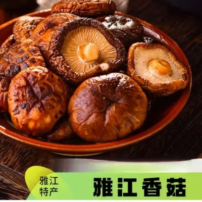 手选干香菇农家大香菇干货 雅江特产无根肉厚炒菜香味足108g家用