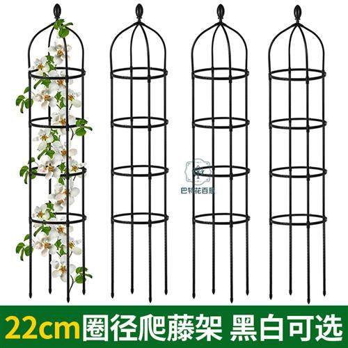 月季蔷薇花架爬藤架防倒伏造型花支架植物攀爬架子阳台铁线莲园艺