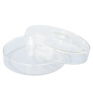 实验室高硼硅玻璃培养皿 细胞细菌培养皿 微生物平板 实验耗材