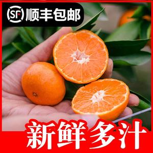 【涌茗蜜桔】临海涌泉蜜橘当季桔子整箱10斤装新鲜水果黄岩橘子5