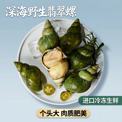 翡翠螺冷冻熟制带壳峨螺