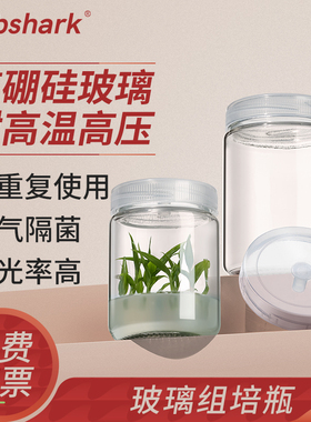 Labshark高硼硅玻璃组培瓶培养瓶240/350mL菌瓶组培苗玻璃广口瓶植物组织培养容器含透气盖耐高温高压水培