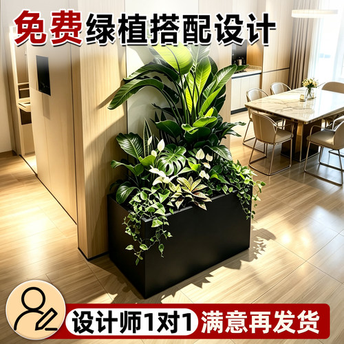 室内花箱隔断造景定制不锈钢阳台绿植长方形花槽植物花坛组合铁艺
