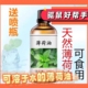 神农天然薄荷精油水溶性提神醒脑单方精油头发按摩防蚊虫驱鼠香薰