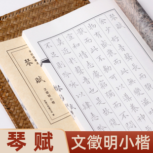 文征明小楷琴赋草堂十志洛神赋老子列传真赏斋铭毛笔临摹字帖临帖