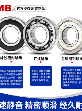 天马轴承TMB 6200 6201 6202 6203 6204 6205 6206 -2RS 2RZ C3Z1