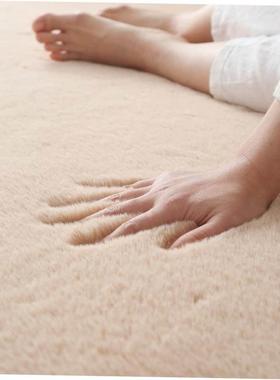 Soft Fluffy Rug Fur Rug Home Fur Carpet Living Room Bedroom