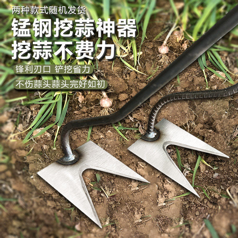 锰钢挖蒜锄小铲子园艺铁铲起蒜挖野菜神器家用二齿拔蒜工具除草铲
