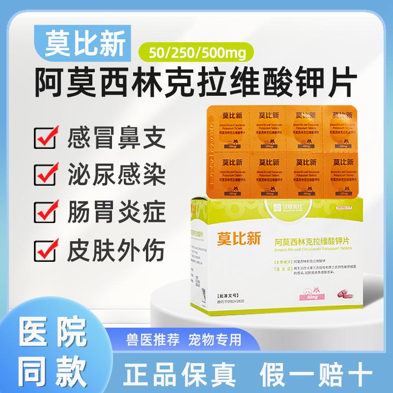莫比新阿莫西林猫鼻支感冒消炎药