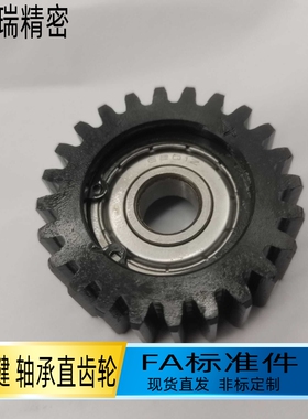 2.0模 轴承型直齿轮VNM02-2.0-15 20 24 25 30 32 36 40 48 50齿