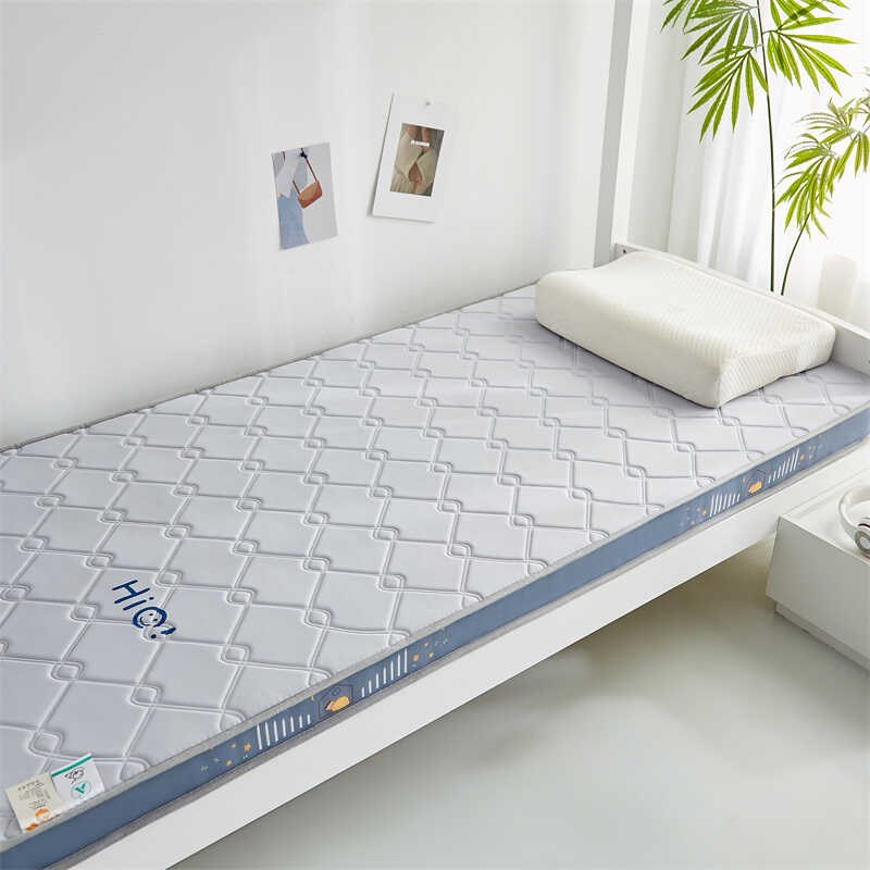 乳胶床垫软垫家用榻榻米垫褥子加厚单人学生宿舍记忆海绵租房专用
