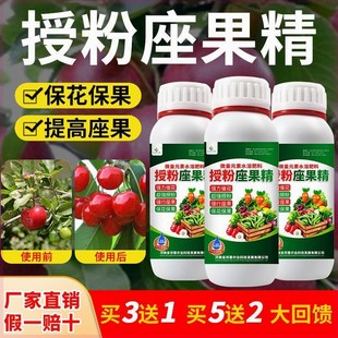 授粉座果精坐果灵授粉药瓜果蔬菜果树催花授粉保花保果授粉神器