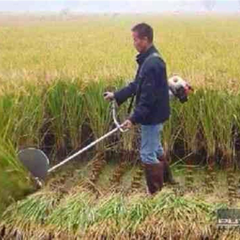 割稻机农用收割麦类收稻小型家用割草割禾机割稻谷神器收割机水稻