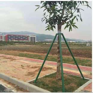 速发树木支撑架支伸缩杆园林树支撑固定器喷塑养护稳定烤漆扶正固