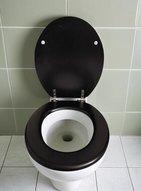 通用黑色马桶盖加厚坐厕板坐便器盖板老式高档不锈钢铰链V型UO型