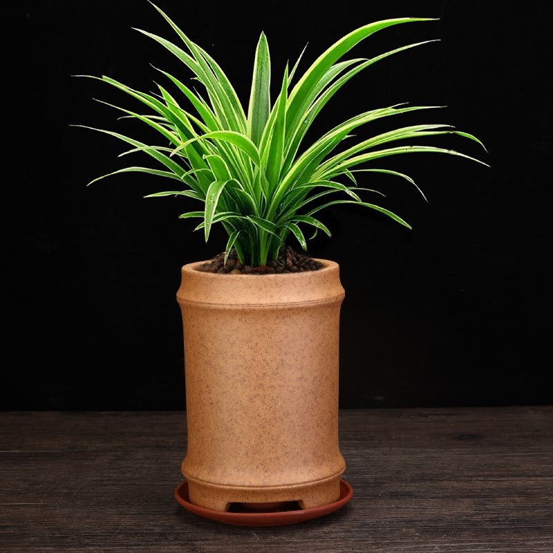 柴烧紫砂兰花盆竹子专用盆精品陶瓷素面简约桌面古典透气高档盆景