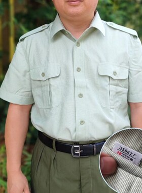 87短袖衬衣l,绿色条纹衬衣短袖,87夏衬衫