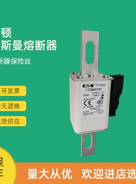 全新快速熔断器保险170M3768 170M3769 170M3770 170M3771
