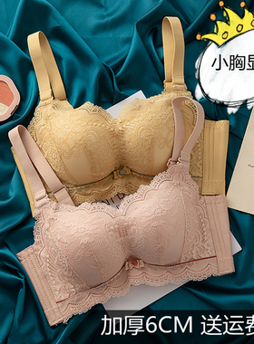 无钢圈平胸聚拢小胸罩专用加厚内衣女2023新爆款收副乳防下垂文胸