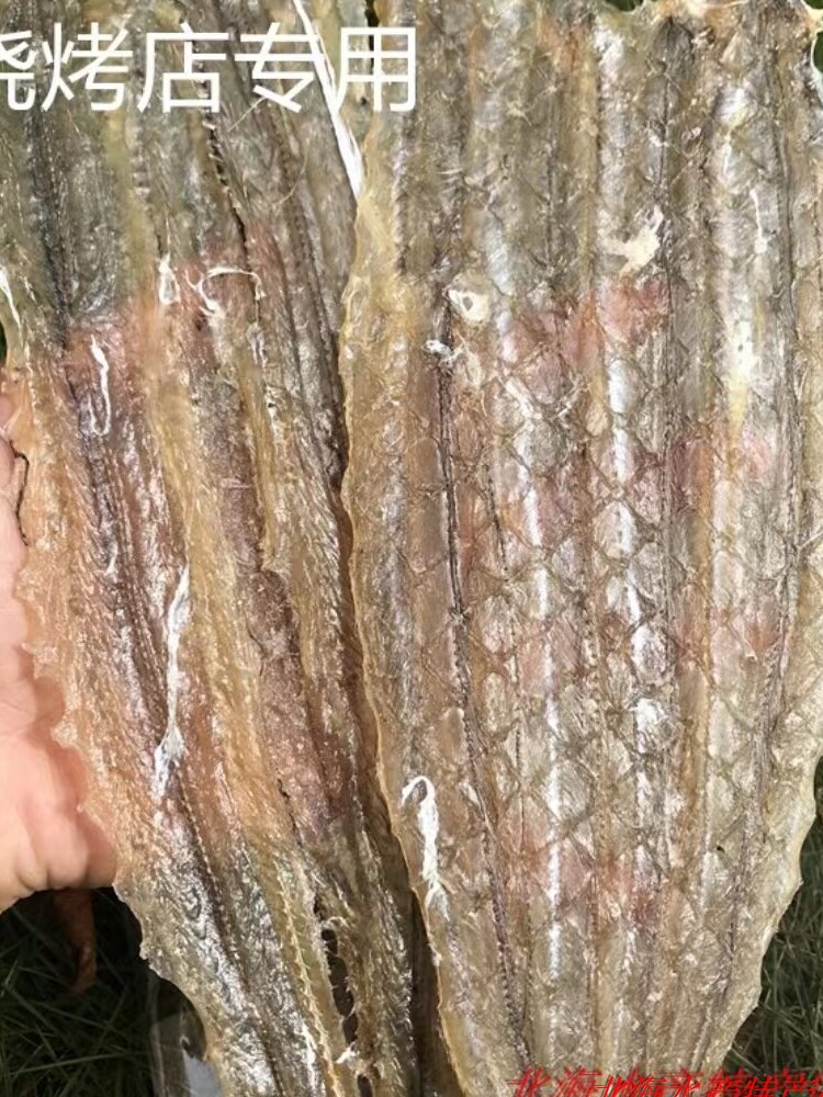 烧烤海鳗鱼片广西北海特产白鳝片海鳗干海鱼干水产干货烧烤店专用高性价比高么？