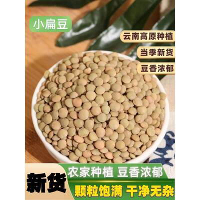 小扁豆500g金豌豆健身主食五谷杂粮甘肃绿扁豆Lentils发豆芽兵豆