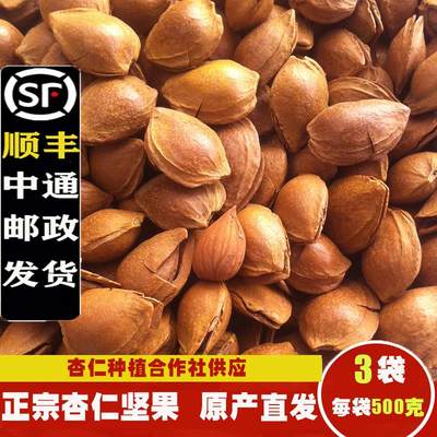 新货开口杏核小白杏仁坚果散装手剥薄壳休闲零食炒货原味1500g