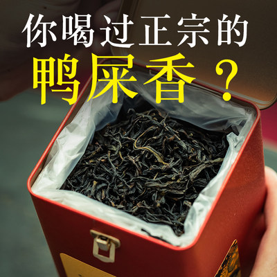 凤凰单枞茶鸭屎香特级乌岽单纵茶潮州凤凰单丛茶叶500g大乌叶单从