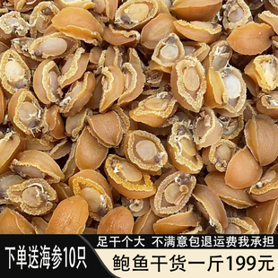 送海参鲍鱼干货一斤大连黄金鲍淡晒小鲍干螺干鳆鱼干佛跳墙煲汤